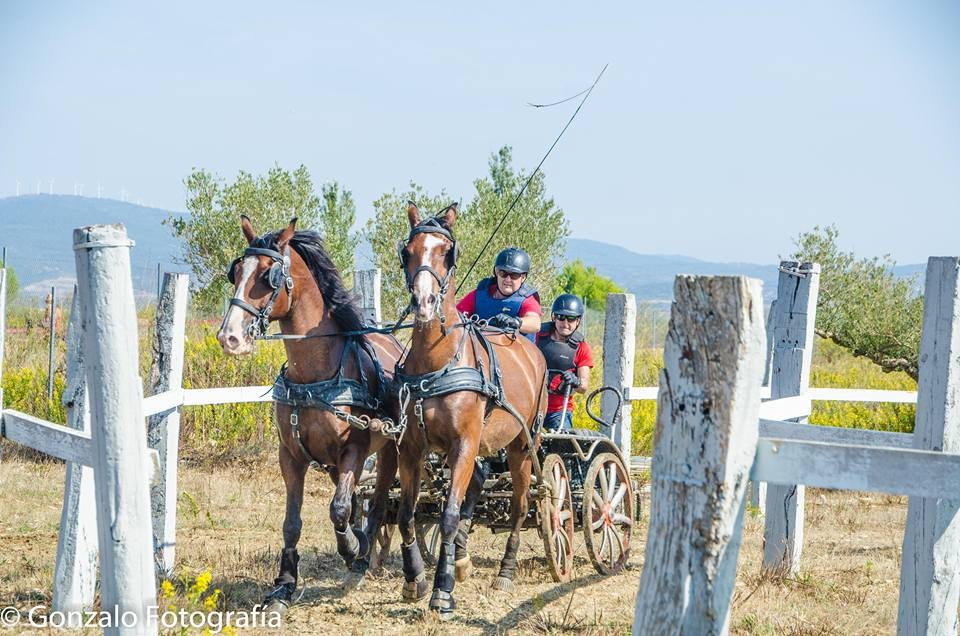 David Aramendía y Carmen Goiburu, Campeones Navarros de Enganches Completo en Troncos y Limoneras